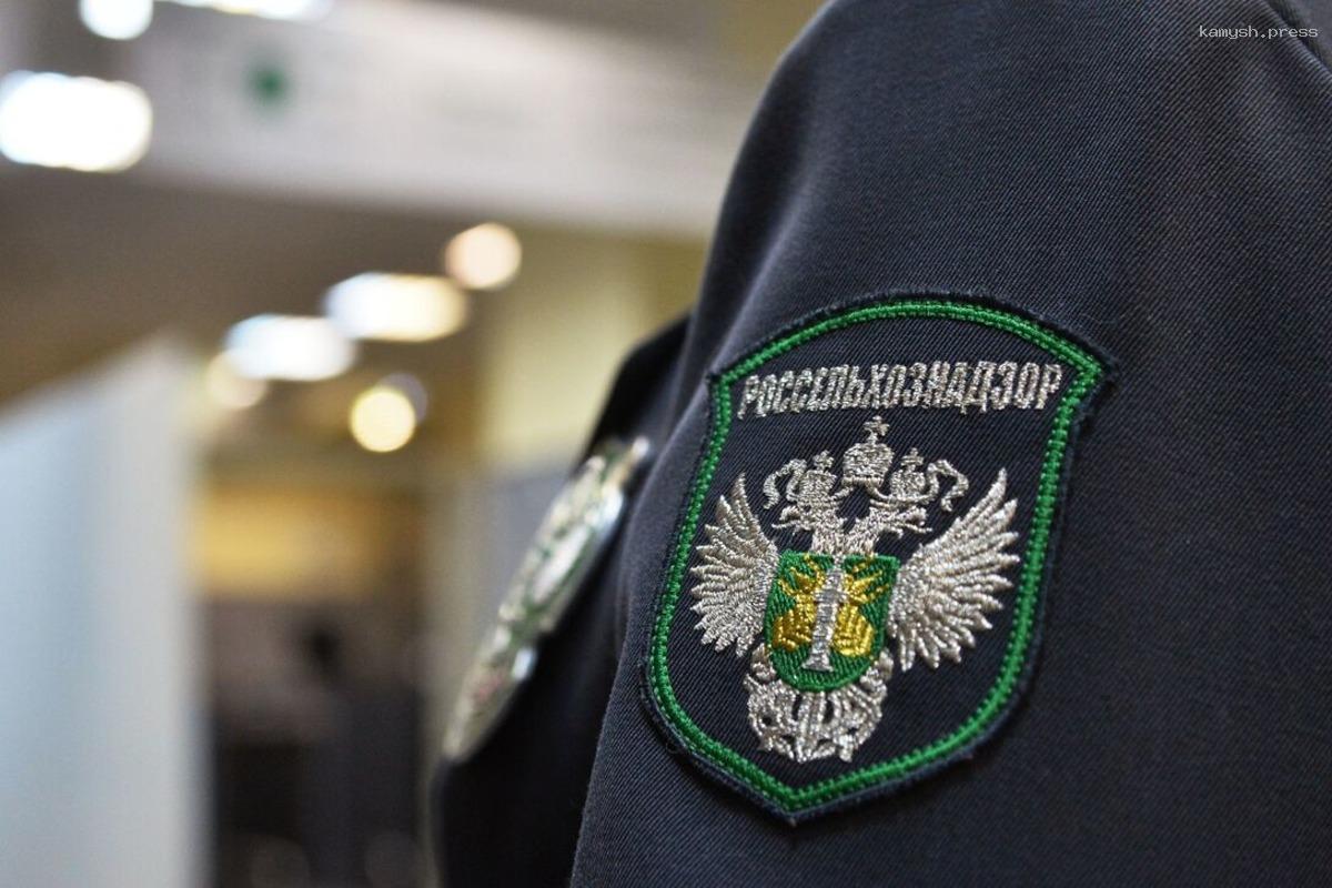 Россельхознадзор Дагестана отчитался о борьбе с нарушением санитарного контроля на границе