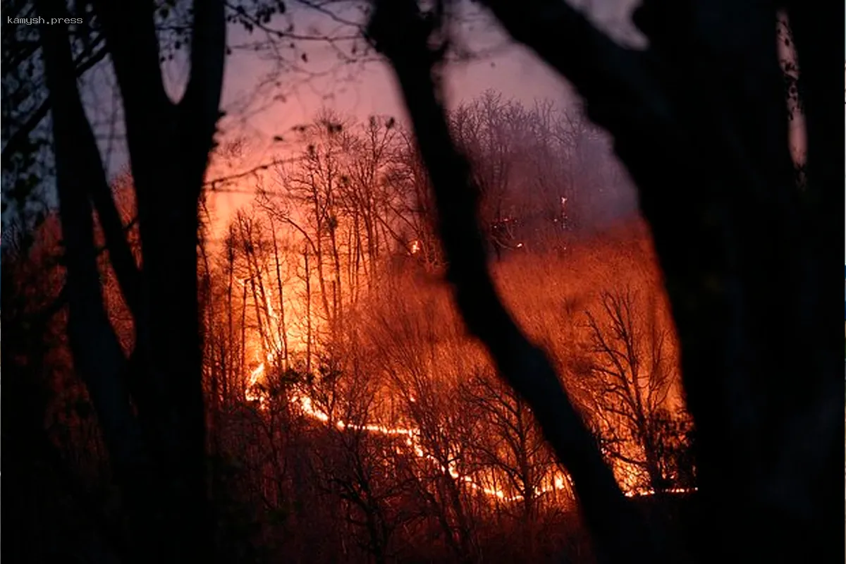 На юге РФ объявили об угрожающей опасности из-за роста температуры