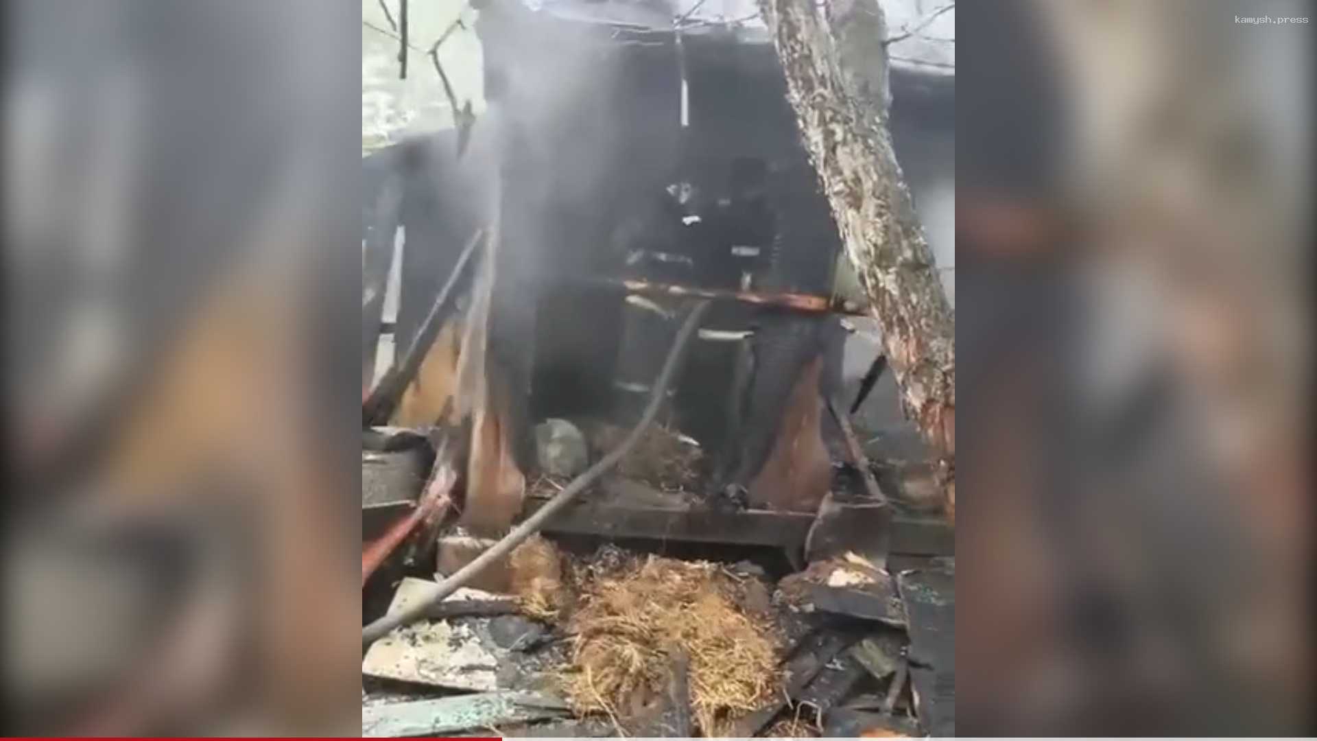 В Уфе собственники сгоревшего собачьего приюта обнаружили на территории бутылку с розжигом