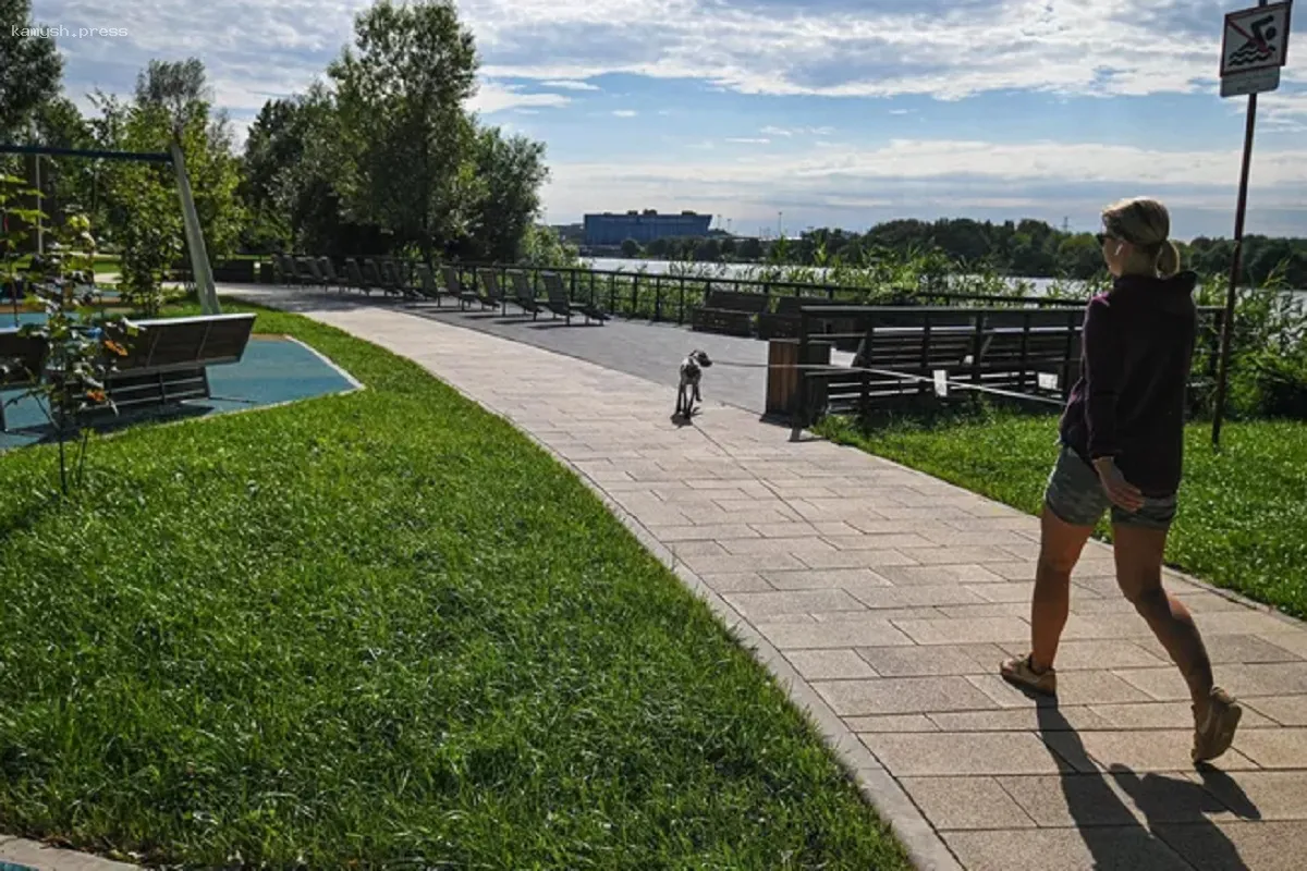 Врач Шишонин рассказал о связи ходьбы и продолжительности жизни