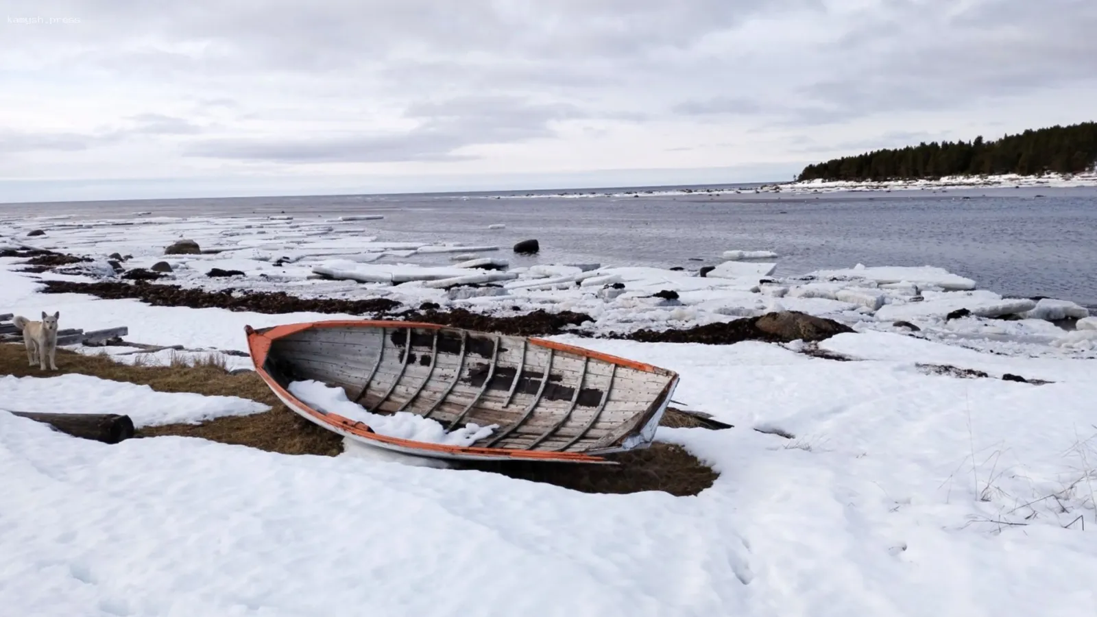 В Баренцевом море на территории Мурманской области снимают фильм о людях с «поморским характером»