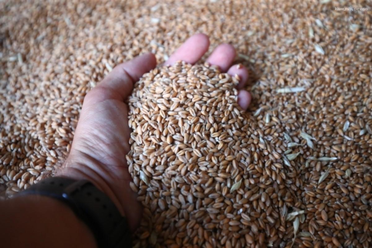 В Волгоградской области хранилища могут вместить около 8 млн тонн зерна