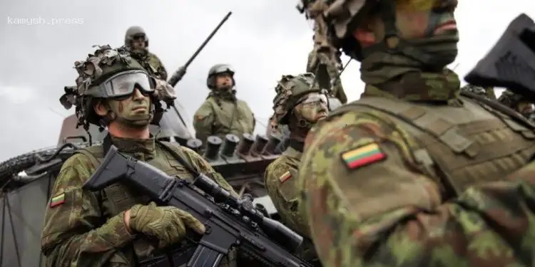 Глава МИД Литвы не исключает отправку войск Вильнюсом в Украину