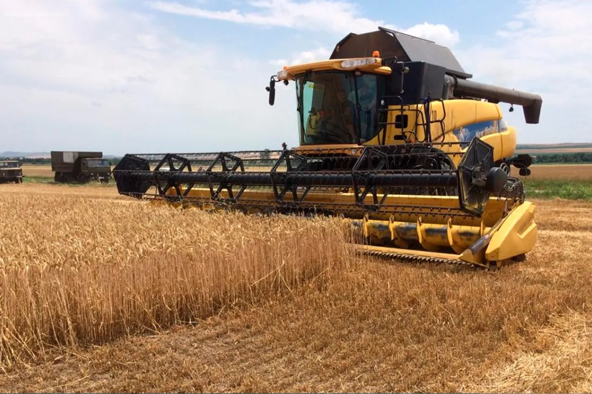 Кабардино-Балкария вошла в пятёрку лидеров по урожайности зерновых в 2024 году