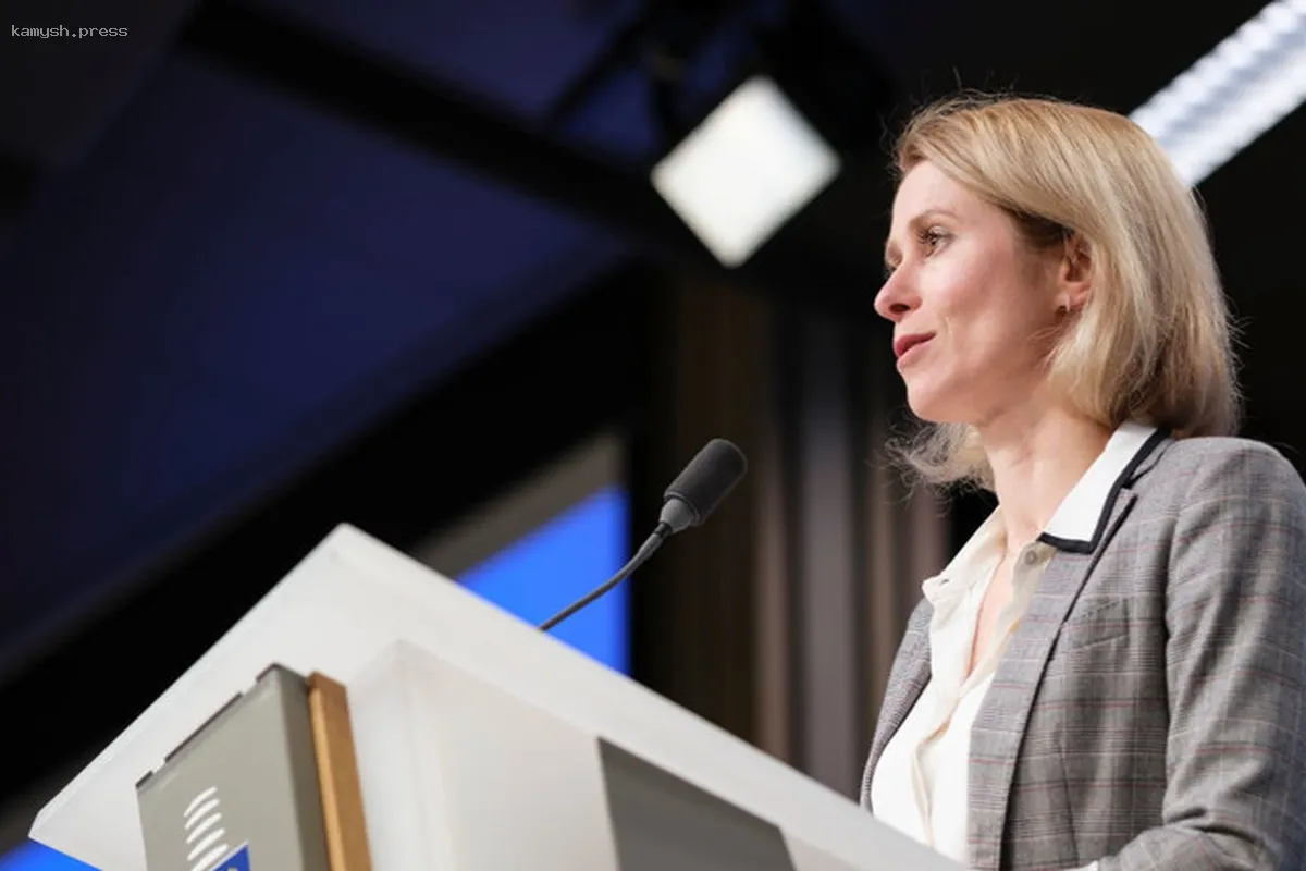 В руководстве ЕС остались недовольны высказываниями вице-президента США