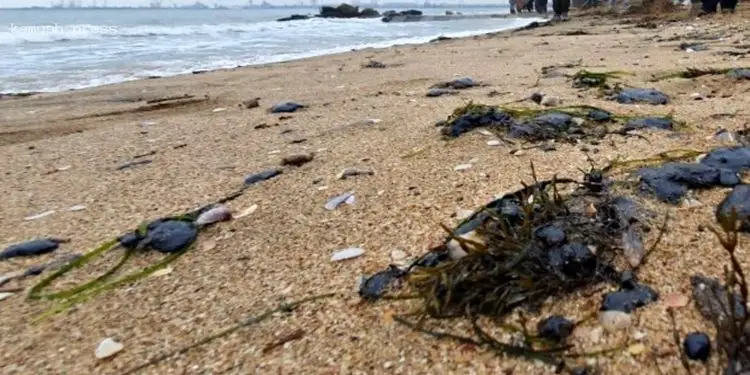 ЦНС выявил причины неудач туристического сезона в Крыму