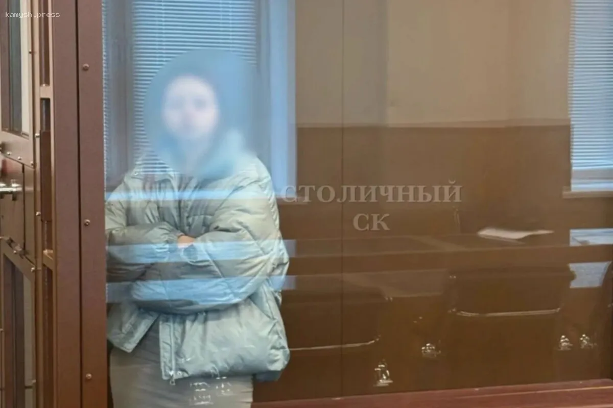 В Москве арестована женщина, пытавшаяся продать новорожденную дочь