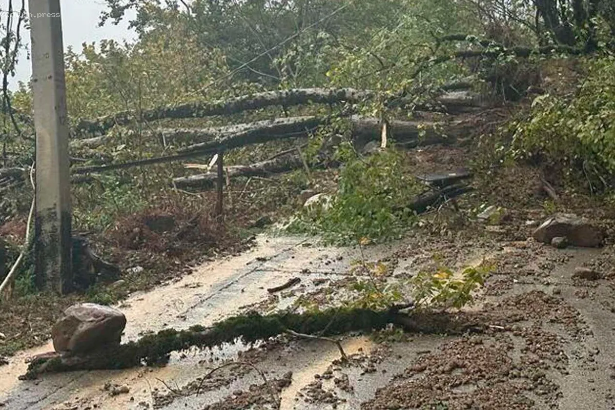 В Сочи после оползня временно отключено газоснабжение в Хостинском районе
