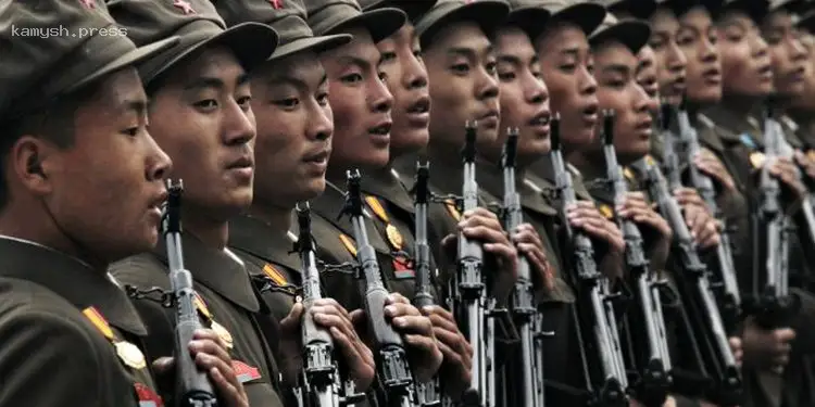 Разведка Южной Кореи выяснила, сколько работников из КНДР приехало в РФ за год