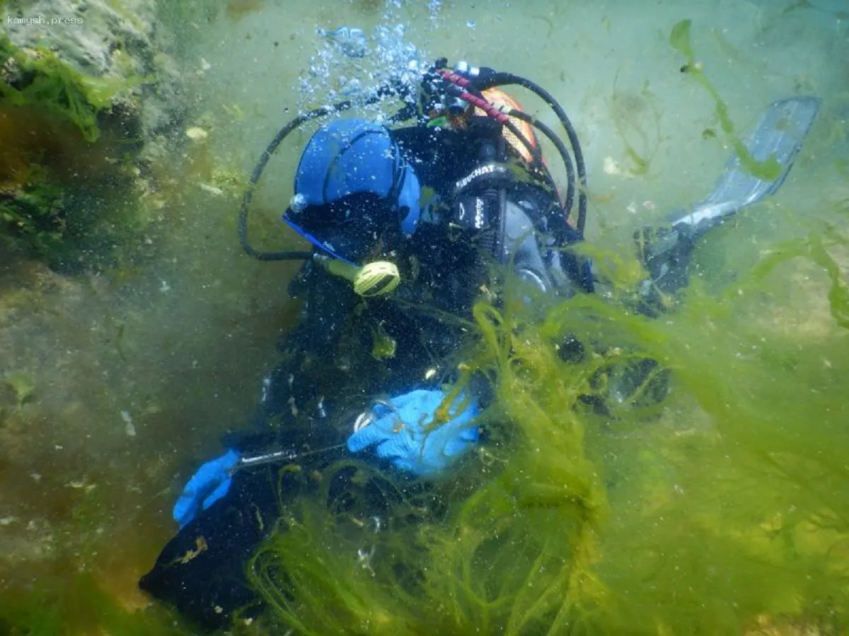 Российские ученые обнаружили в Байкале уникальные водоросли