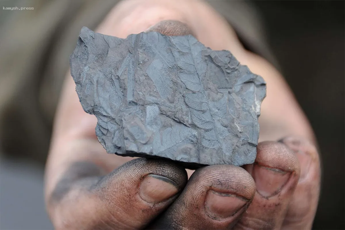 Бизнесу в Абакане и Черногорске запретят топиться углем