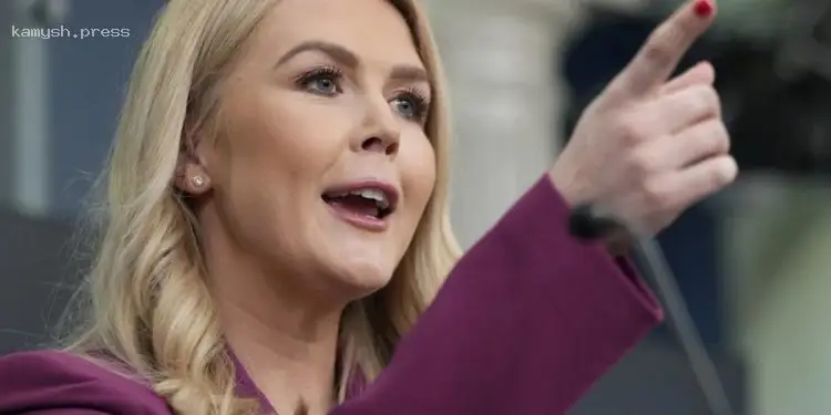 Представитель Белого дома анонсировала скорые встречи Трампа с Зеленским и Путиным