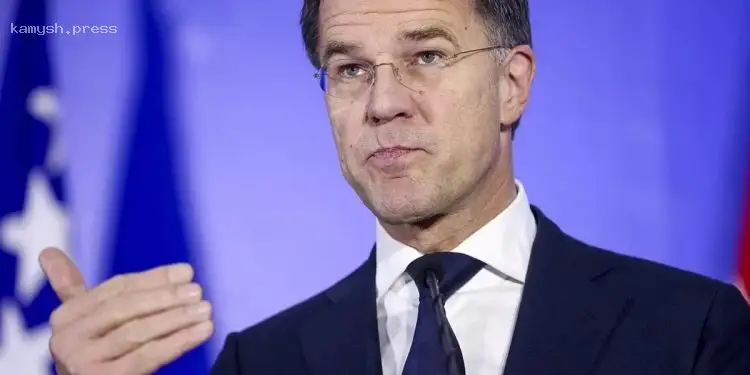 Рютте прокомментировал слова Трампа о необходимости распределения помощи Украине между США и Европой