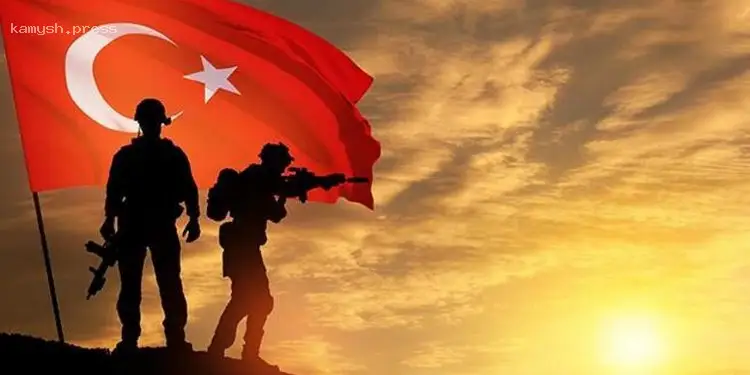 Турция рассматривает возможность отправки своих миротворцев в Украину