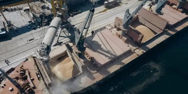 Зеленский рассказал, сколько продовольствия вывезено из Украины морским коридором за полтора года