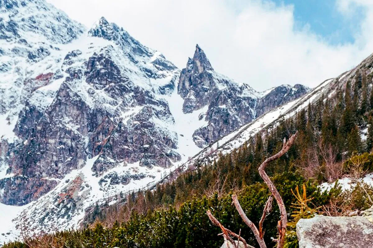 Ученые из Кабардино-Балкарии разработали уникальный метод для очистки Черного моря от нефтяных загрязнений