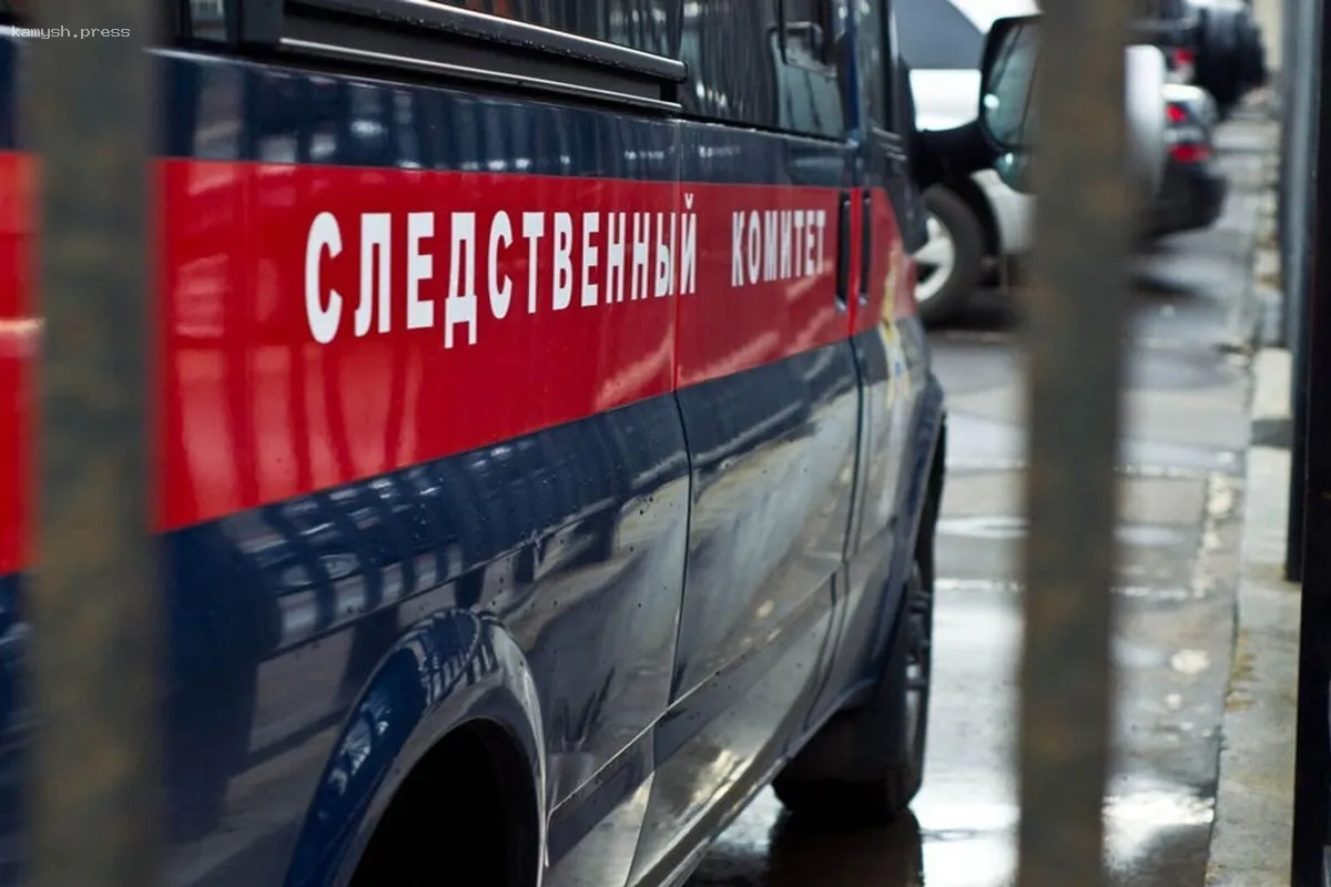В Липецке учитель жестоко избила ученицу начальных классов