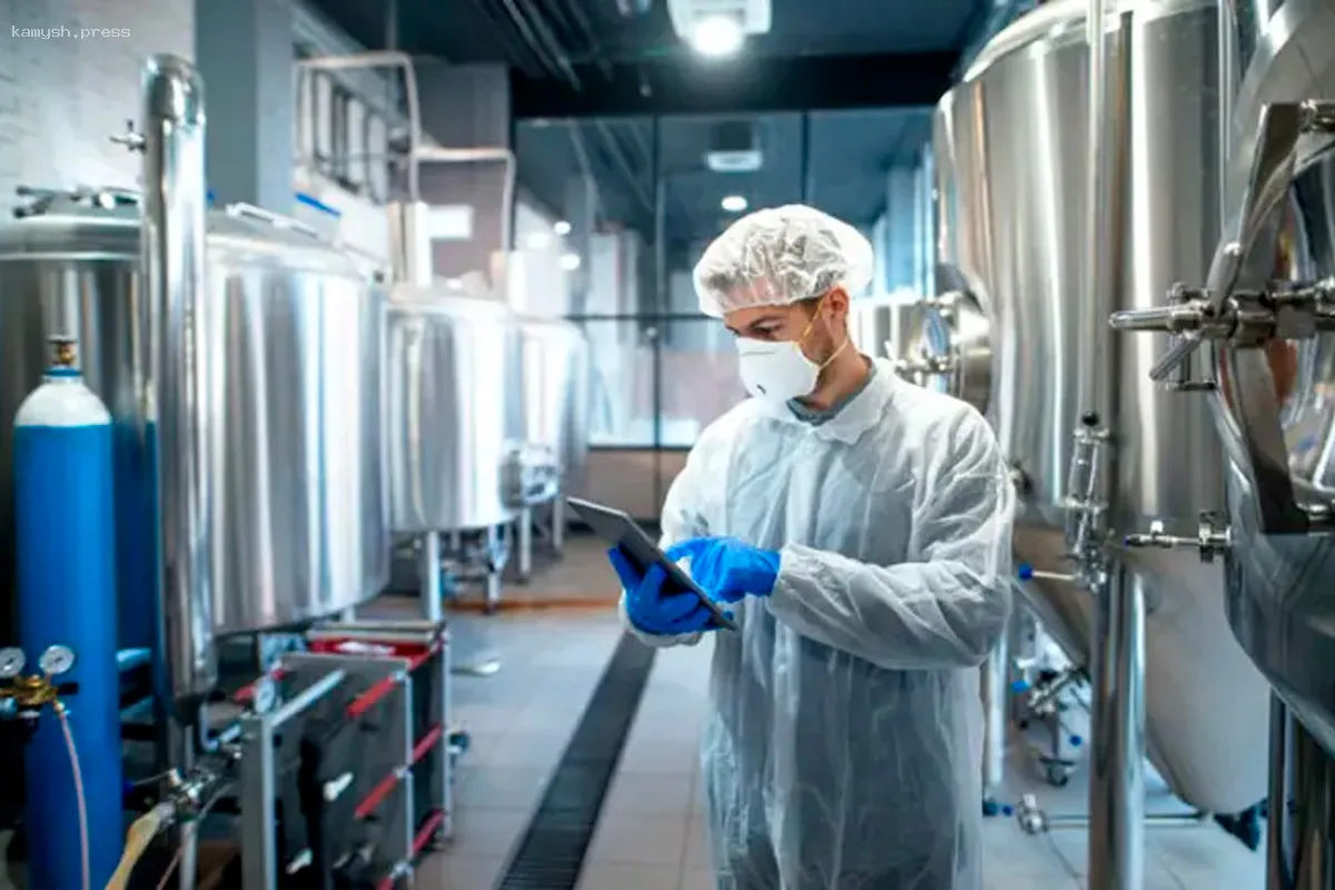 Малый и средний бизнес Мордовии получил 625 миллионов рублей государственной помощи в 2024 году