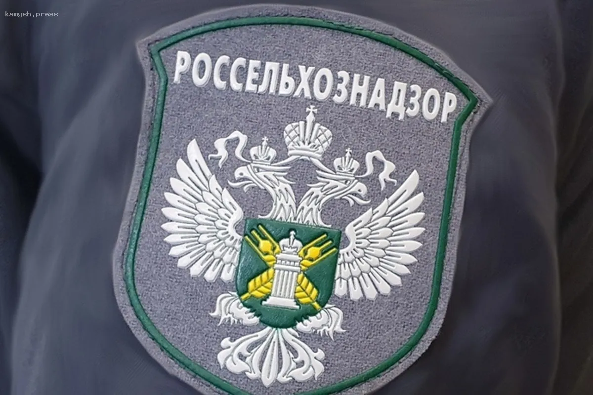 В Красноярском крае обнаружено 10 кафе, использующих опасное мясо