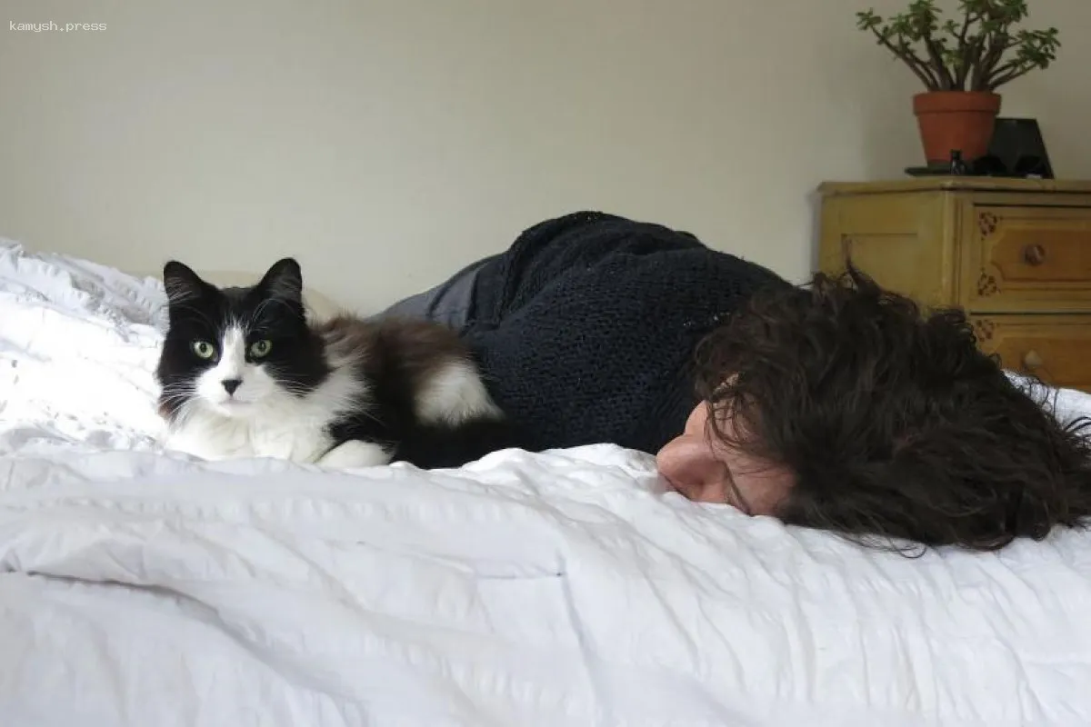 Установлено, безопасно ли спать с кошкой в одной кровати