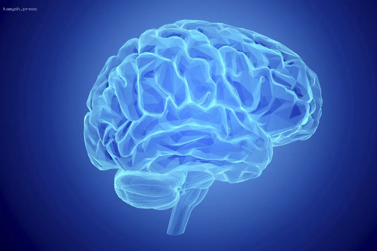 Исследования подтвердили активность мозга после смерти