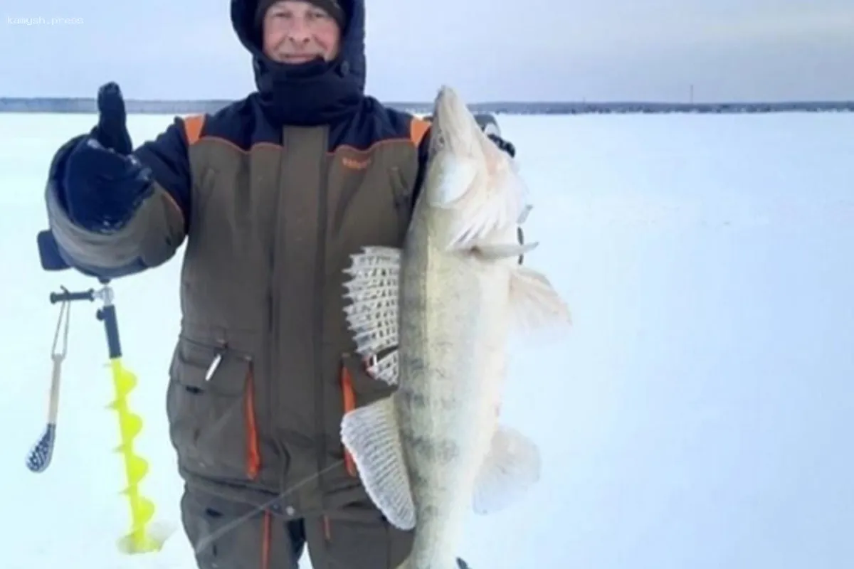 Новосибирец поймал 20-летнего окуня