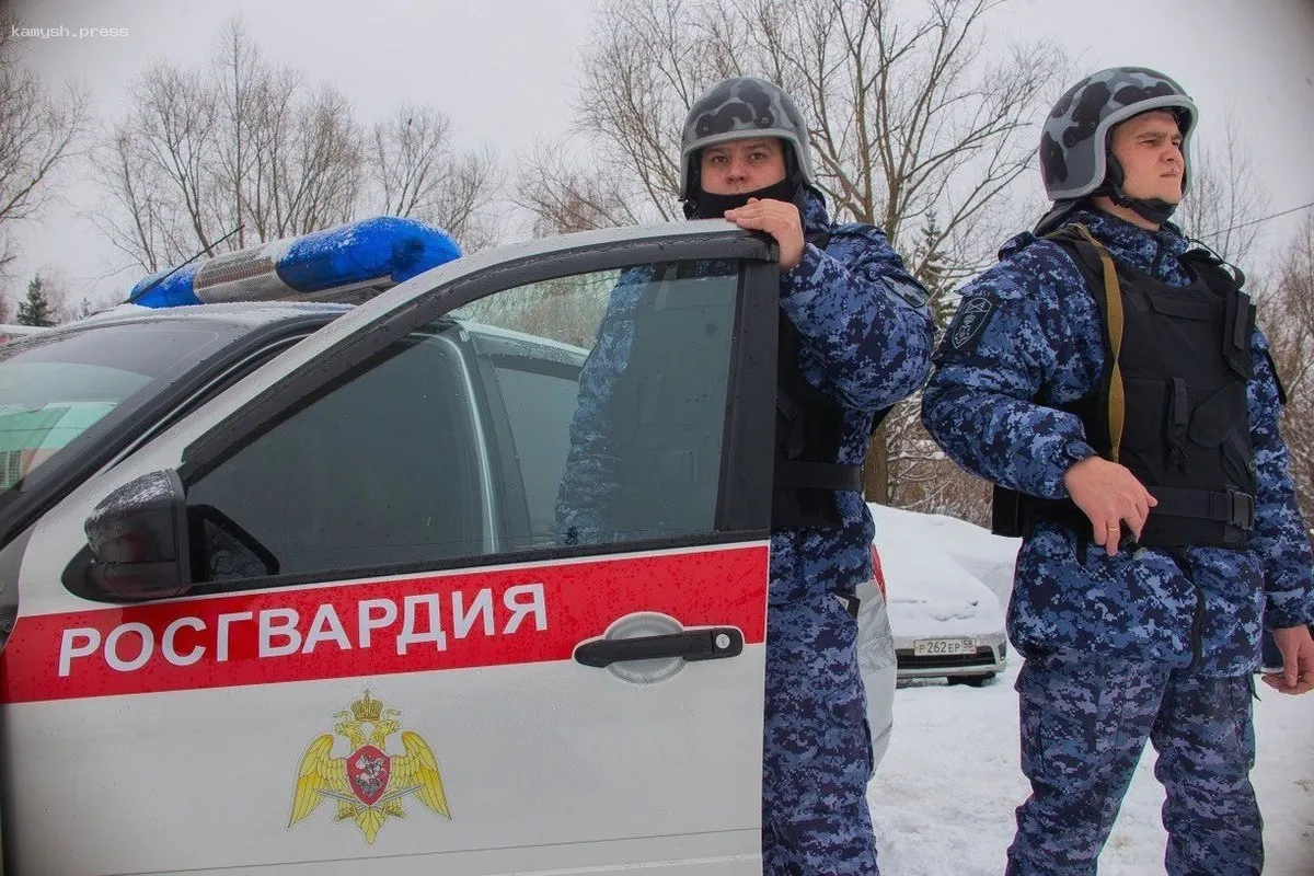 В Биробиджане росгвардейцы остановили нетрезвого водителя, нарушавшего правила дорожного движения
