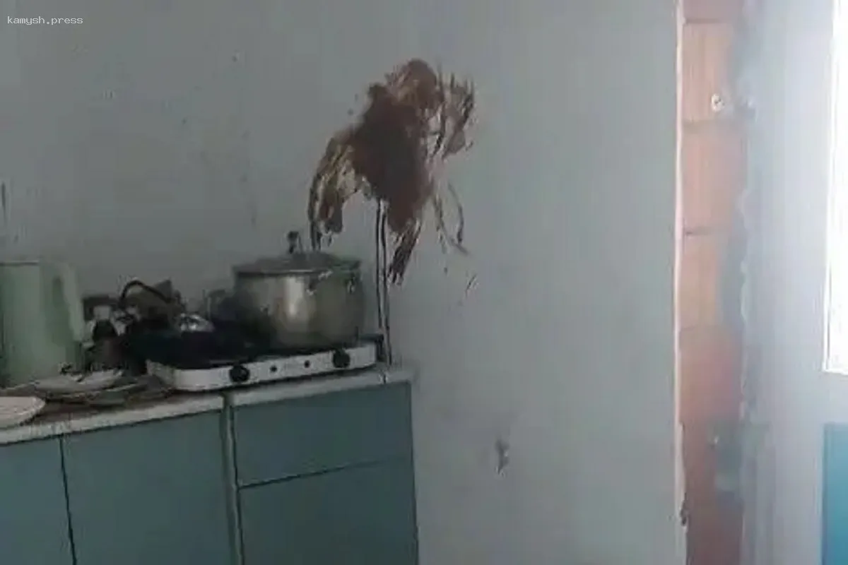 В Мурино мать оставленных без присмотра детей не удается отыскать СК и прокуратуре