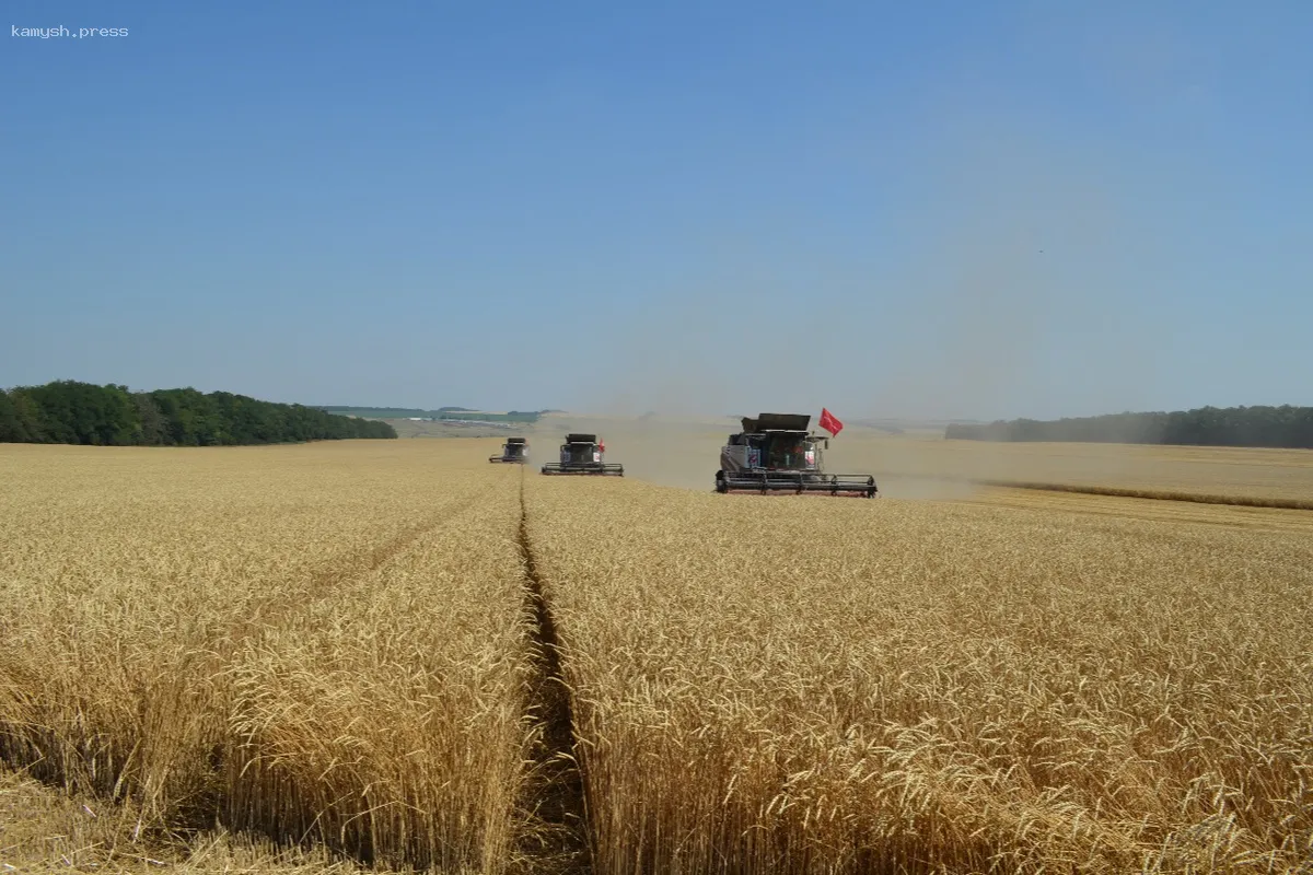 Владимир Владимиров: Ставропольское сельское хозяйство должно занять ведущие позиции в цифровизации