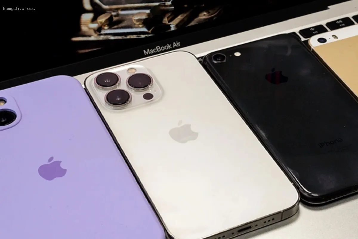 В новосибирском аэропорту Толмачево у пассажира нашли партию iPhone