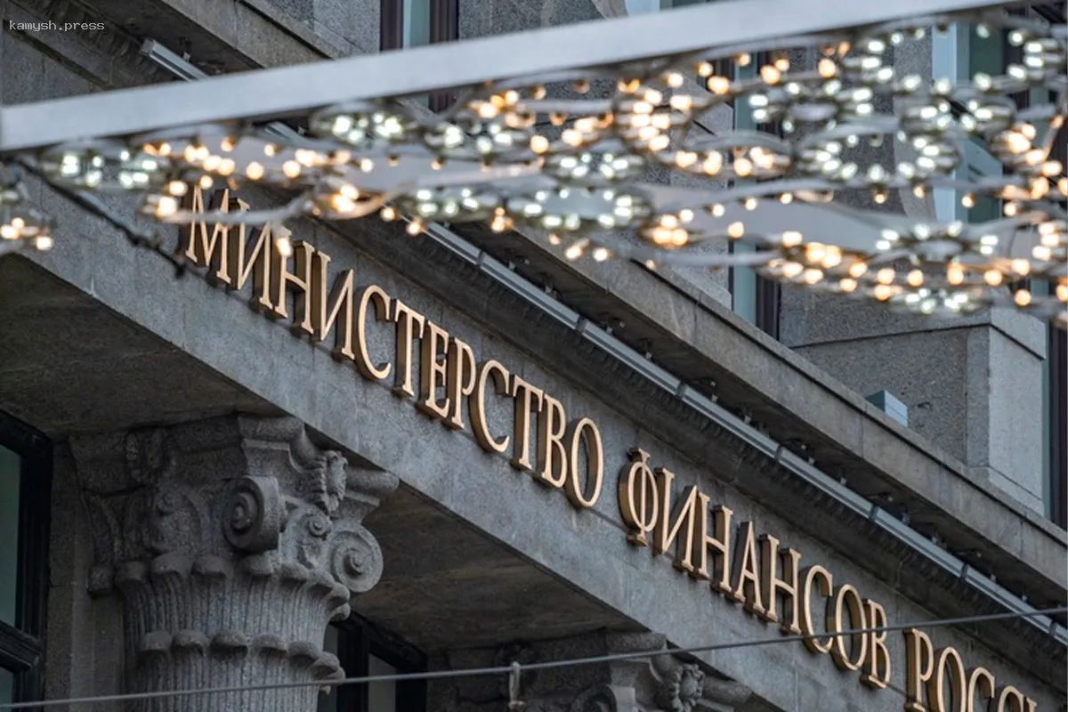 Экономист прокомментировал будущее «большой приватизации» в России и её особенности