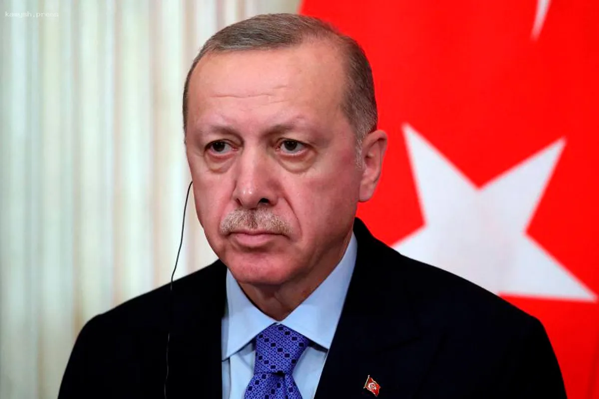 Эксперт по тюркологии прокомментировала события в Турции после ареста мэра Стамбула