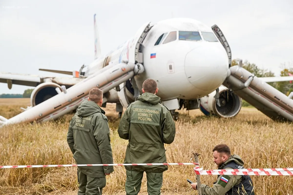 Уволен второй пилот, совершивший экстренную посадку А320 в поле под Новосибирском