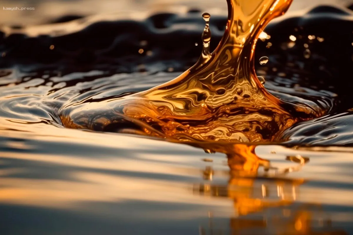 Вологодская область разрабатывает новые инициативы для повышения дорожной безопасности