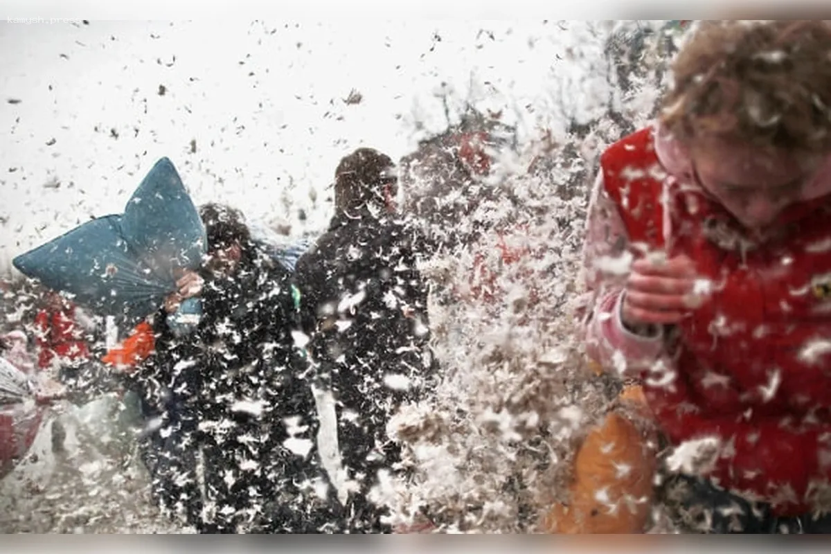 В вагоне метро Санкт-Петербурга произошел инцидент с подушкой