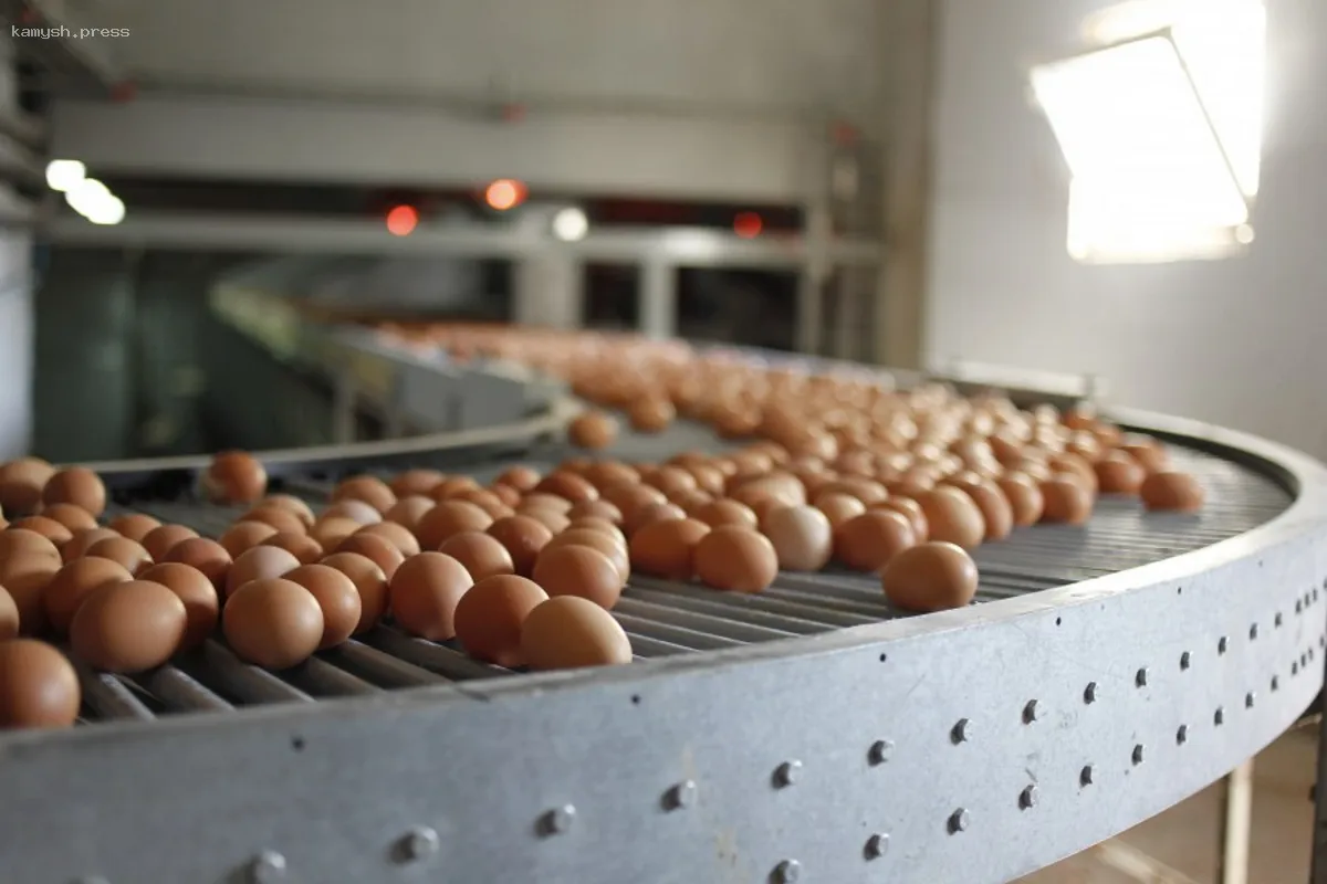 Производство сельскохозяйственной продукции в Костромской области увеличилось на 3,4% за год