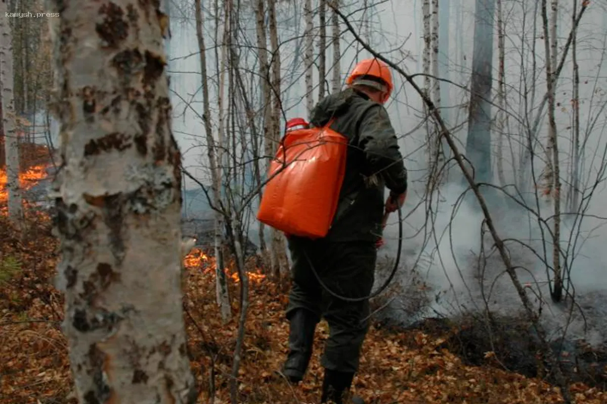 В Забайкалье объявлены премии за информацию о виновниках лесных пожаров