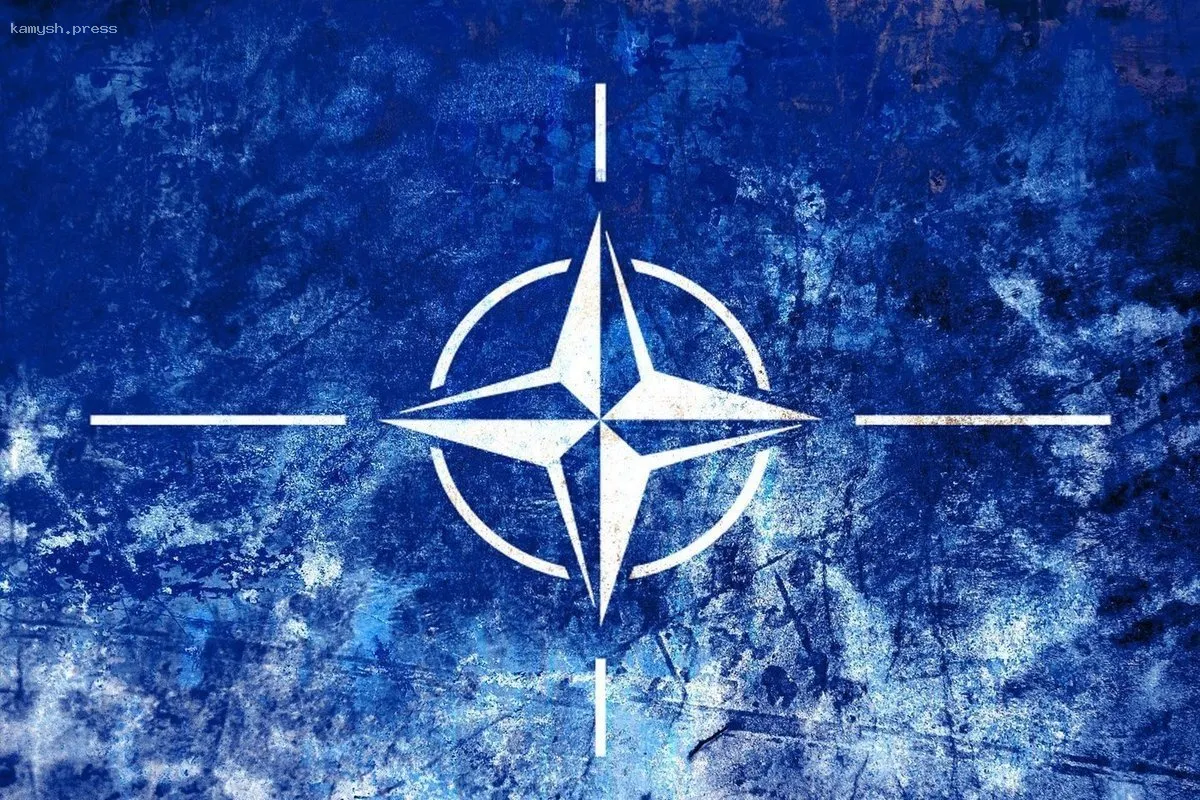 Hill: Европа окажется в рискованной ситуации, если США покинут НАТО