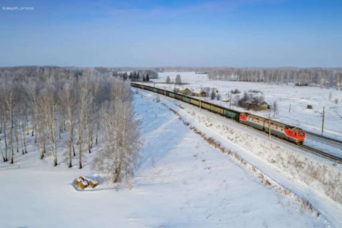 В Новосибирской области повышают штрафы для пассажиров и вводят новые требования для перевозчиков