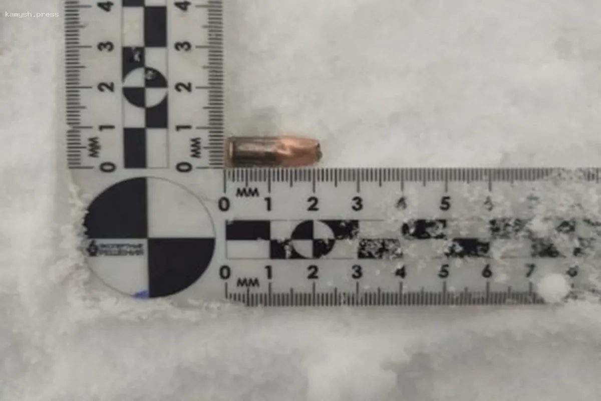 В Новосибирске начнется судебный процесс над браконьерами за незаконную охоту и гибель женщины
