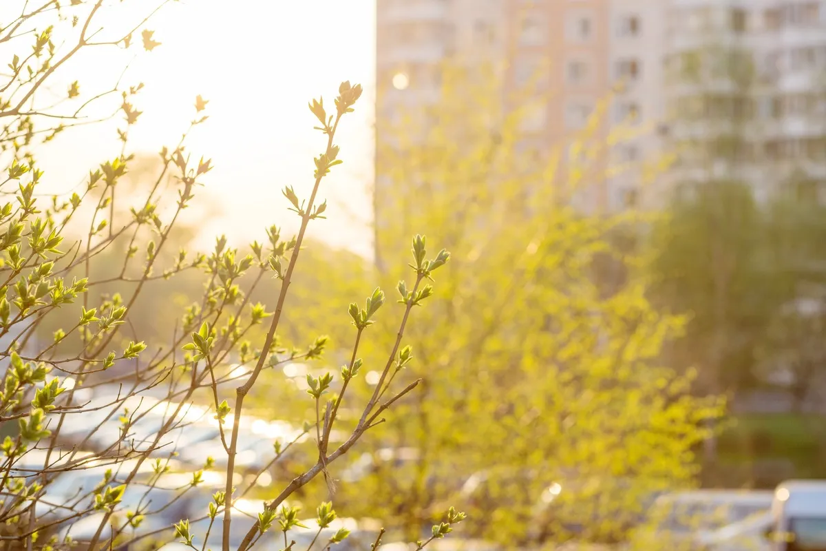 11 марта в Тверской области установил температурный рекорд с 1888 года