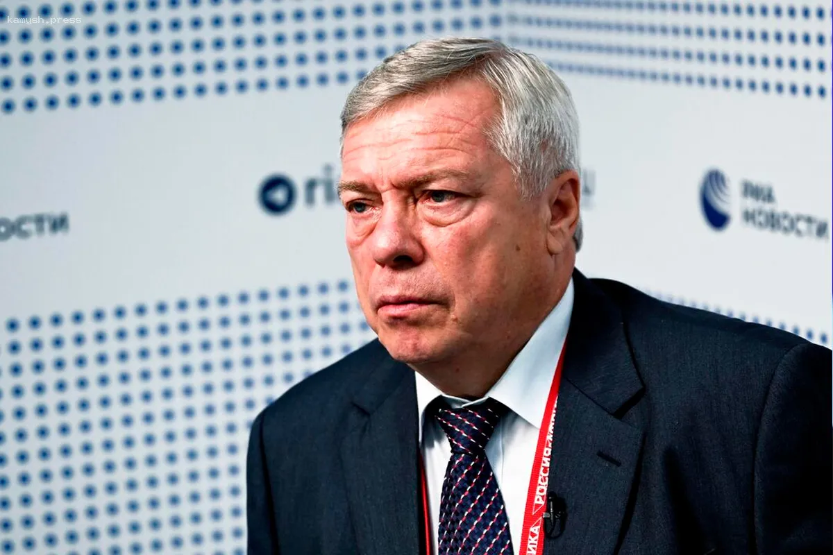 В Ростовской области стартовал сбор подписей для расследования экс-губернатора