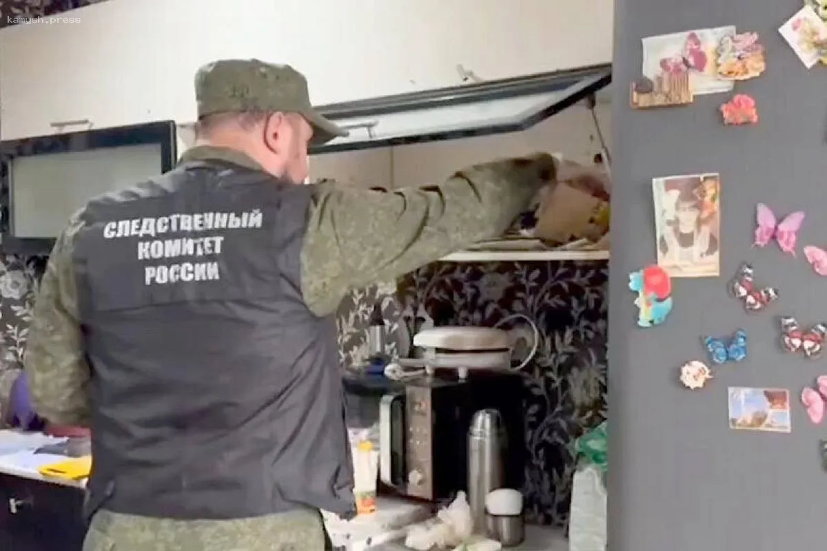 Следствие завершило дело: отцу угрожает суд за неосторожное причинение смерти