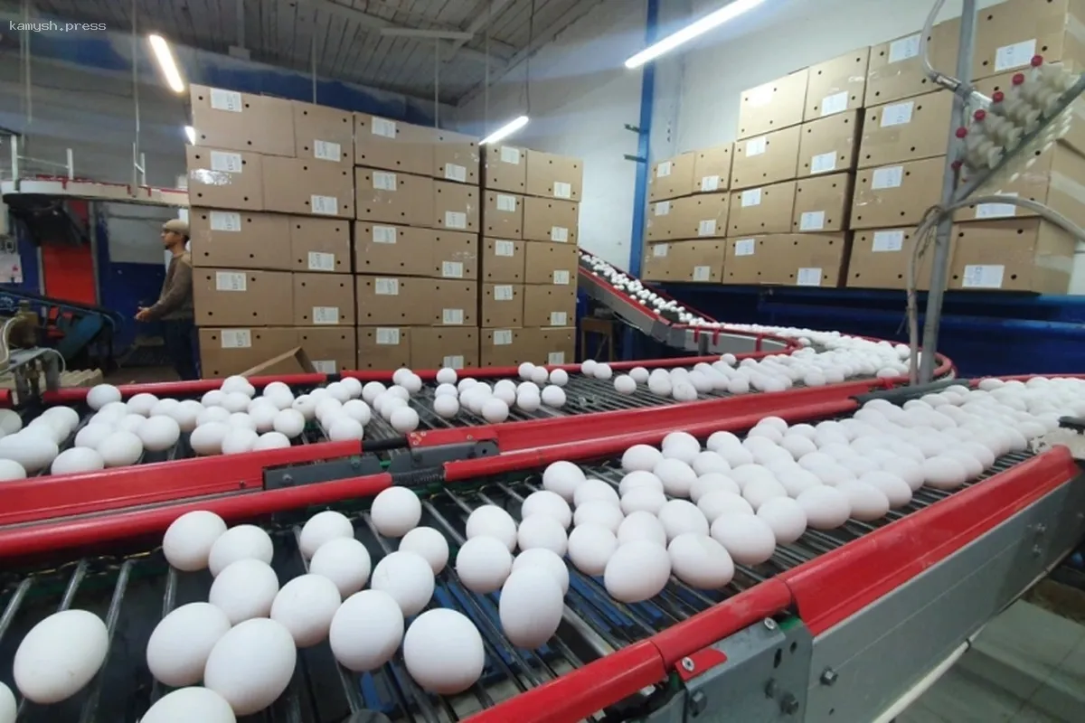 Фермеры Магаданской области получат финансовую помощь от государства