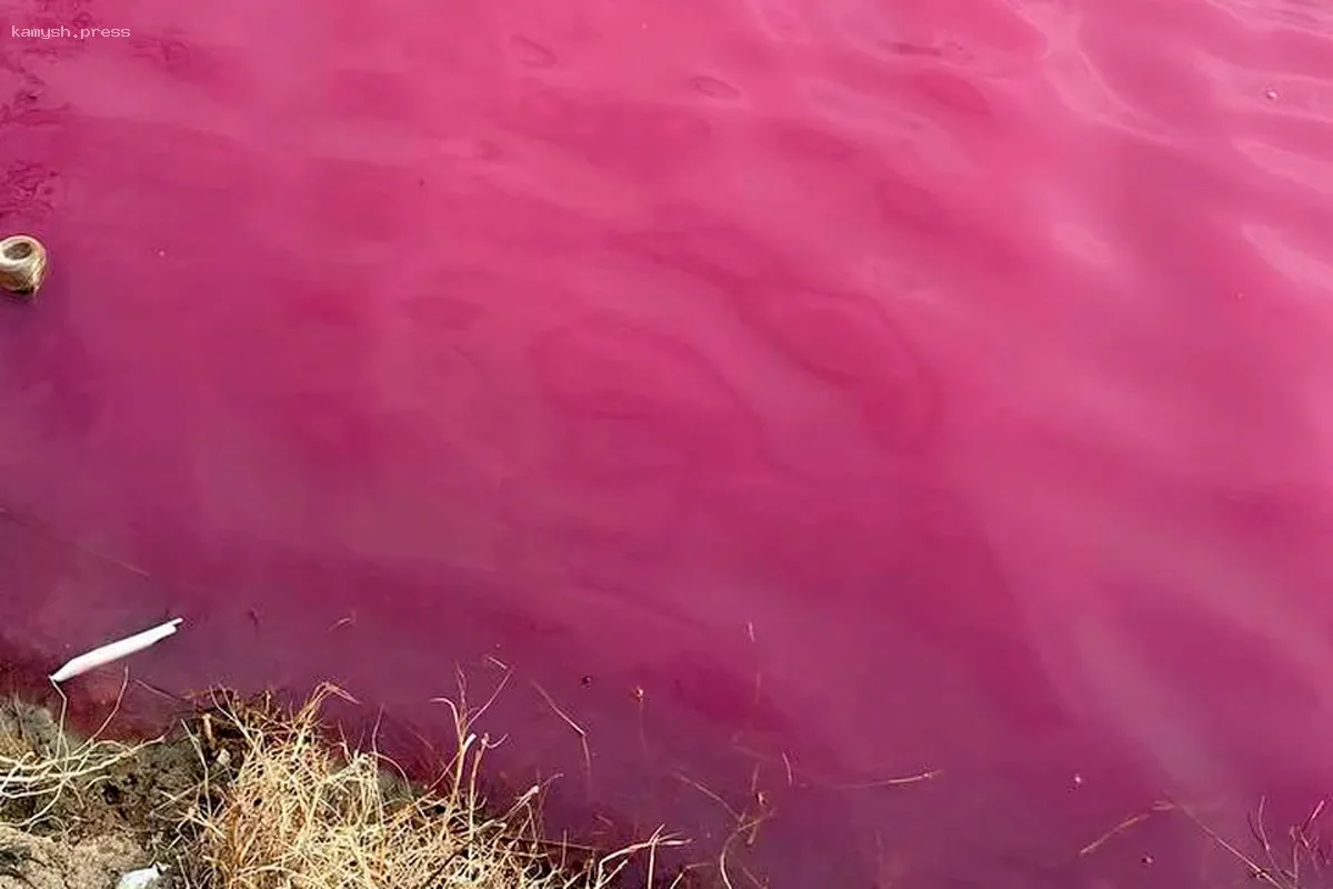 СК по указанию Бастрыкина инициирует проверку состояния «розового» озера в Краснодаре