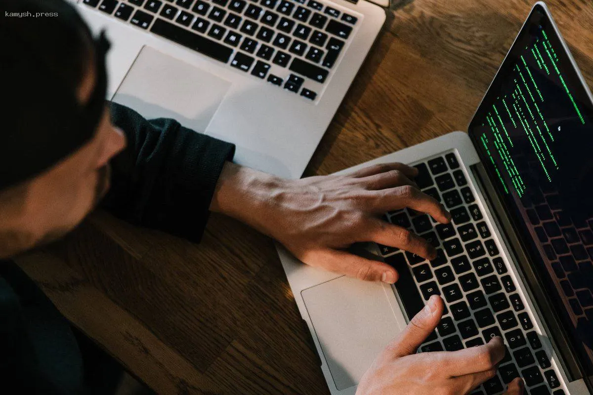 В Новосибирском регионе увеличилось число обращений по поводу интернет-мошенничества