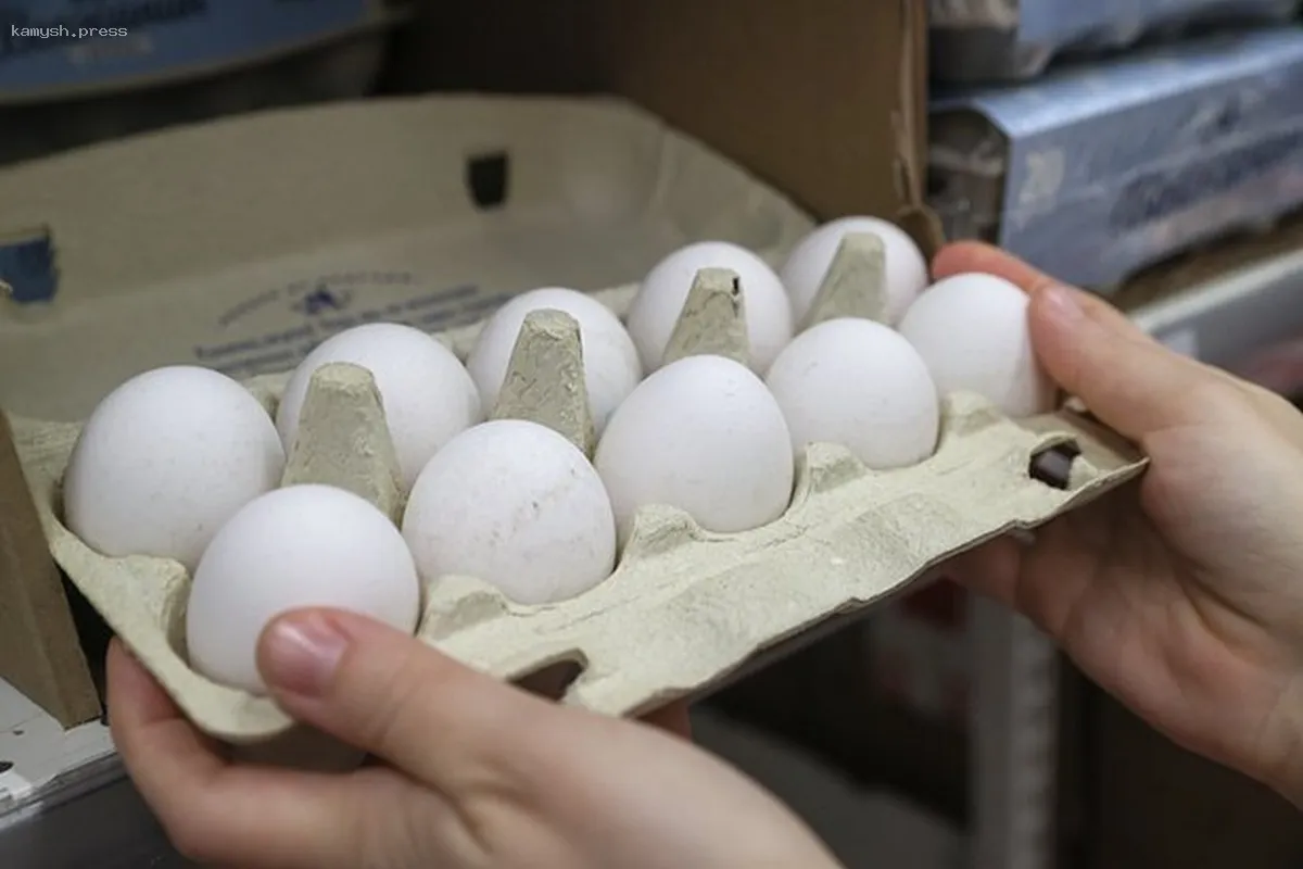 Россия добивается новых вершин в потреблении белка