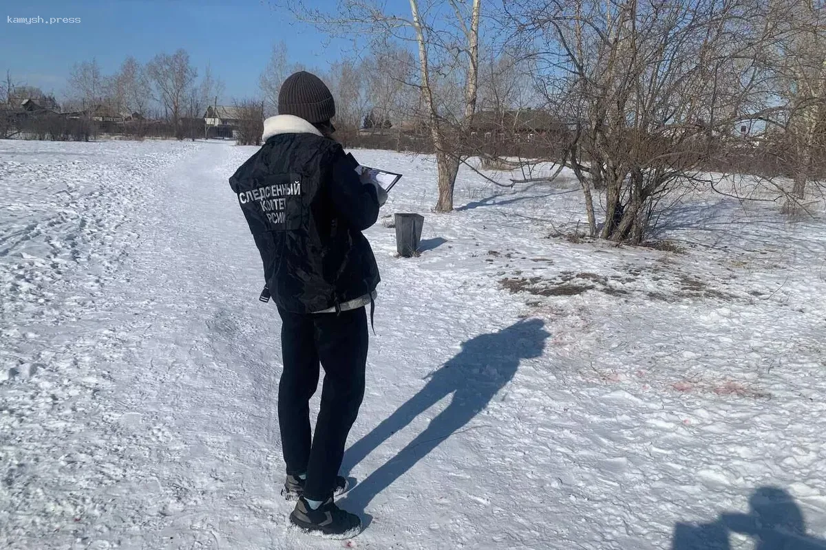 В Хакасии группа домашних собак атаковала 8-летнюю девочку