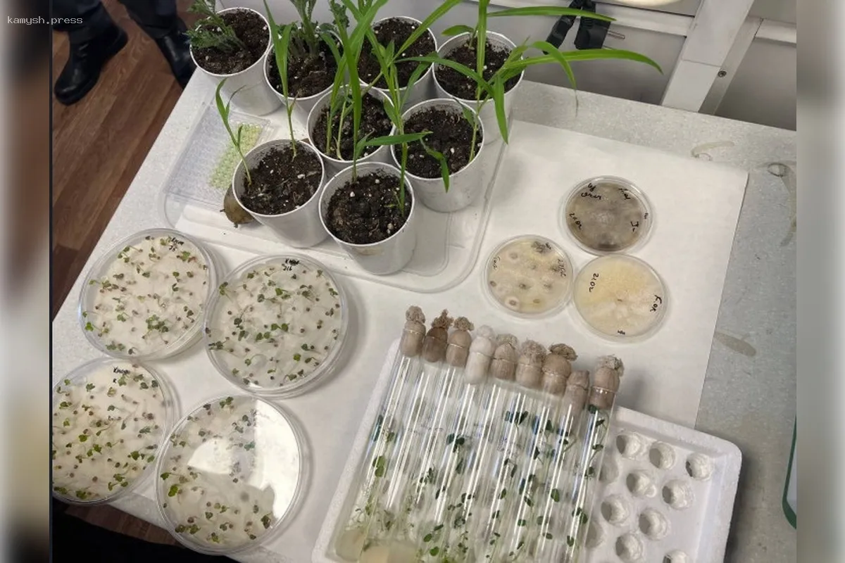 В Новосибирской области запустили новый исследовательский центр по биологии