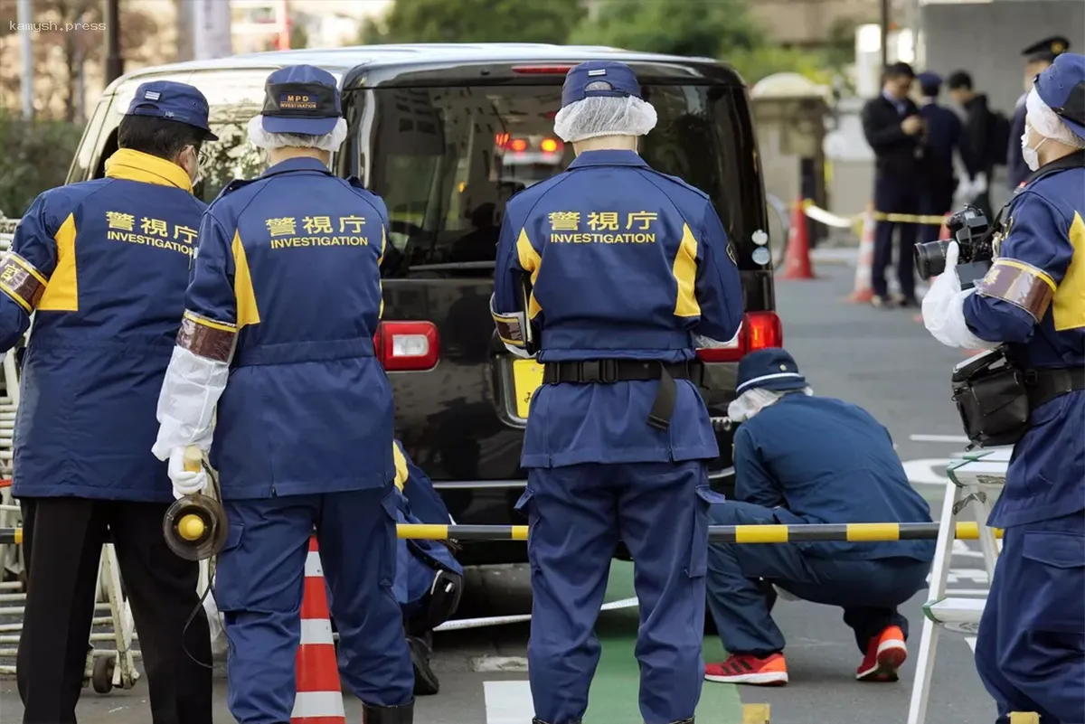 Неизвестный оставил на цветочной клумбе сумку с останками человека